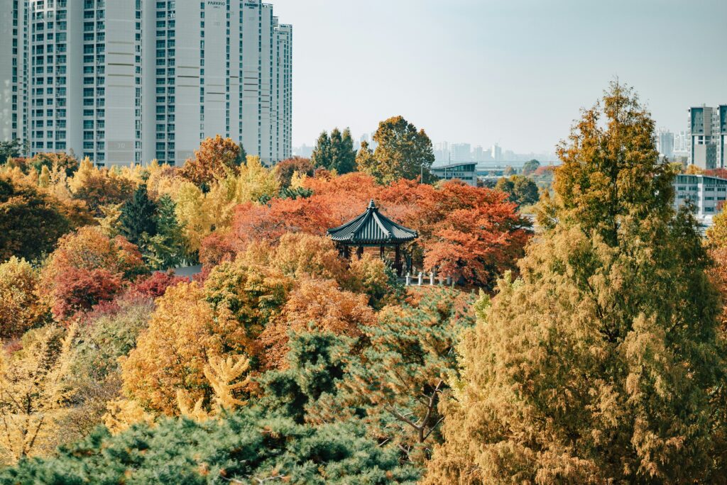 Best time to visit Seoul for autumn foliage and mild weather