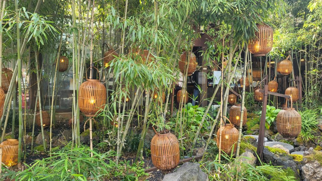 Jongno aesthetic cafe entrance with bamboo 
