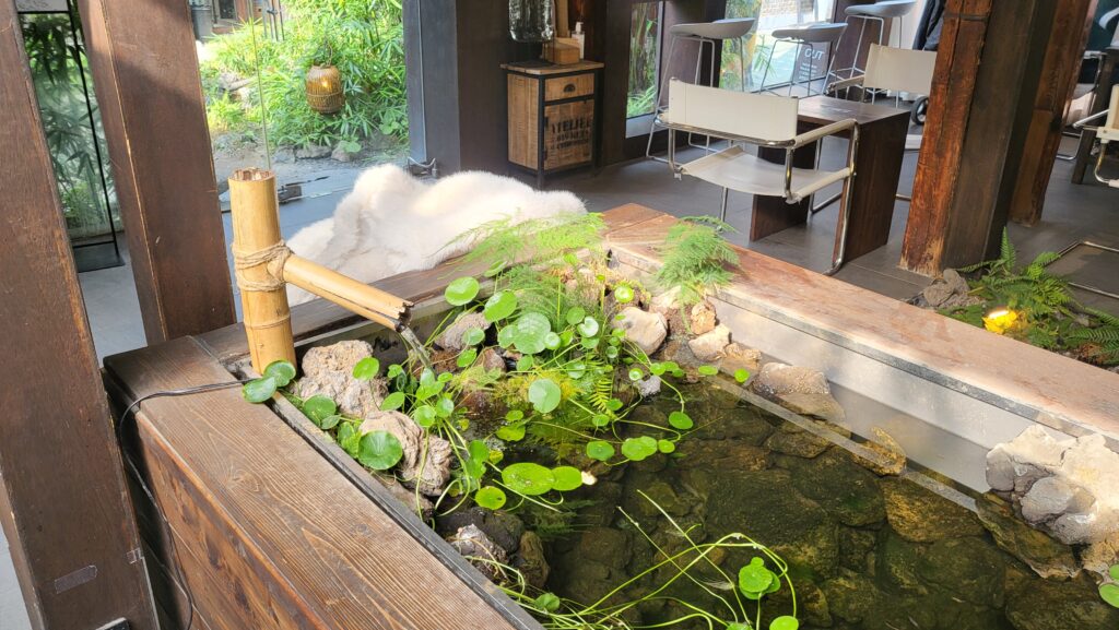 Nature-inspired Jongno aesthetic cafe