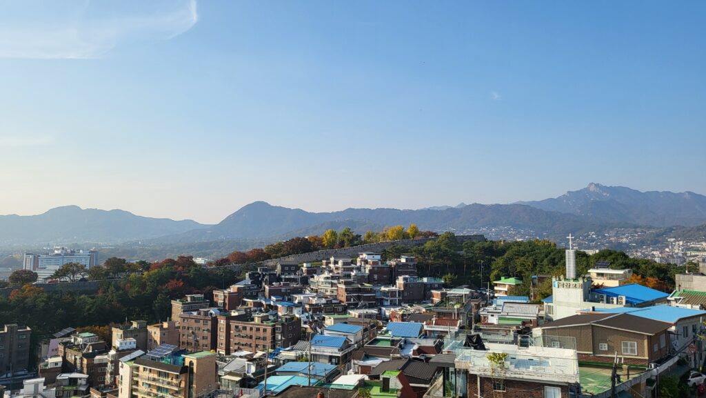 city view from the rooftop