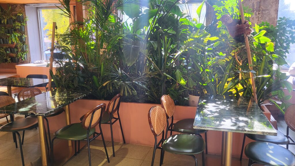 Inside Jeong Geurida Nature Cafe Near Heunginjimun Gate with plants and cozy seats