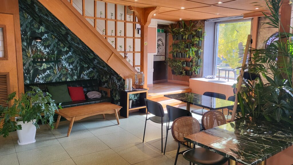 Inside Jeong Geurida Nature Cafe Near Heunginjimun Gate with plants and cozy seats