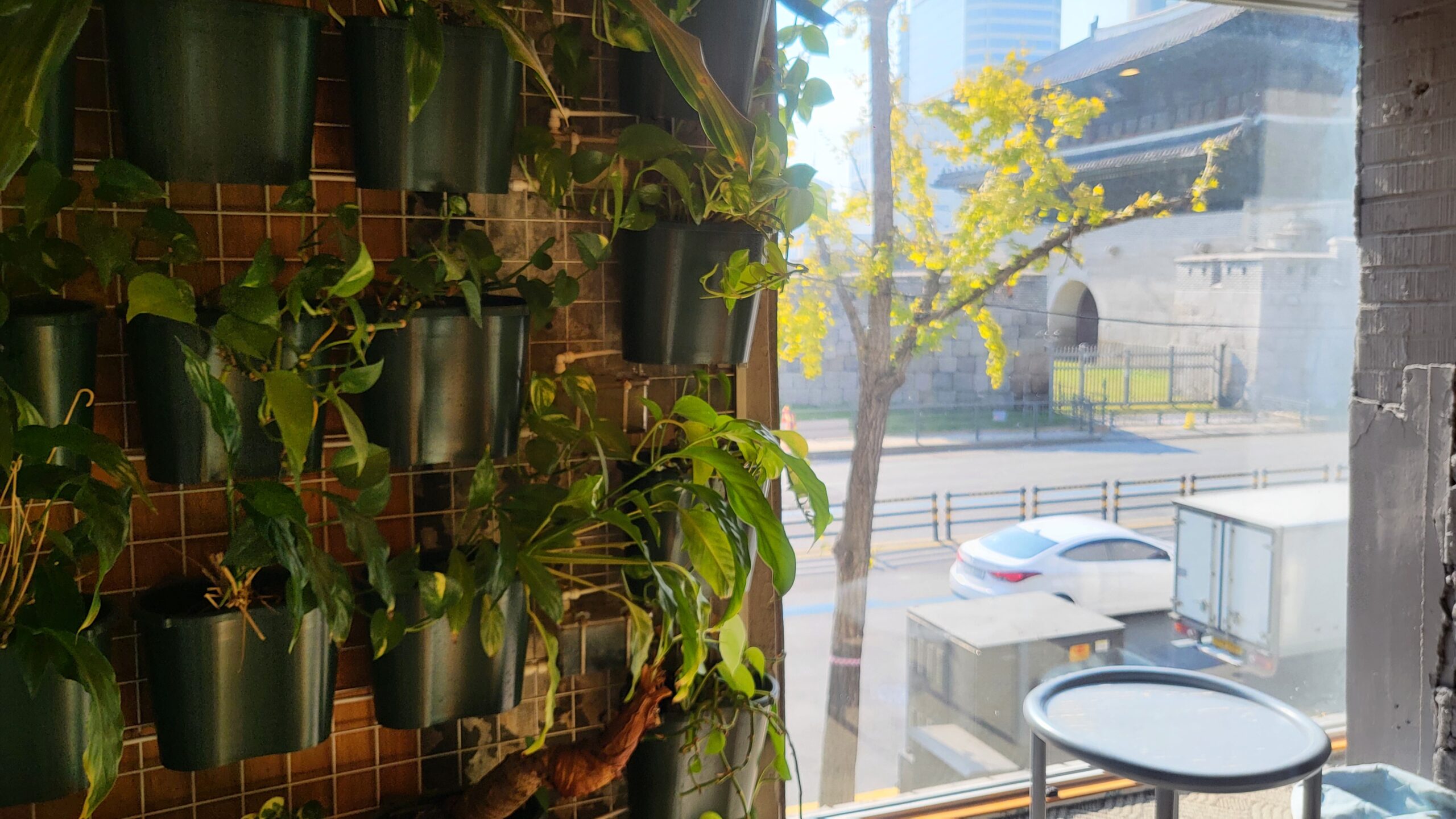 Jeong Geurida Nature Cafe | Heunginjimun Gate View