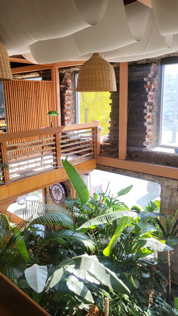 Second floor view at Jeong Geurida Nature Cafe Near Heunginjimun Gate & Dongdaemun Station