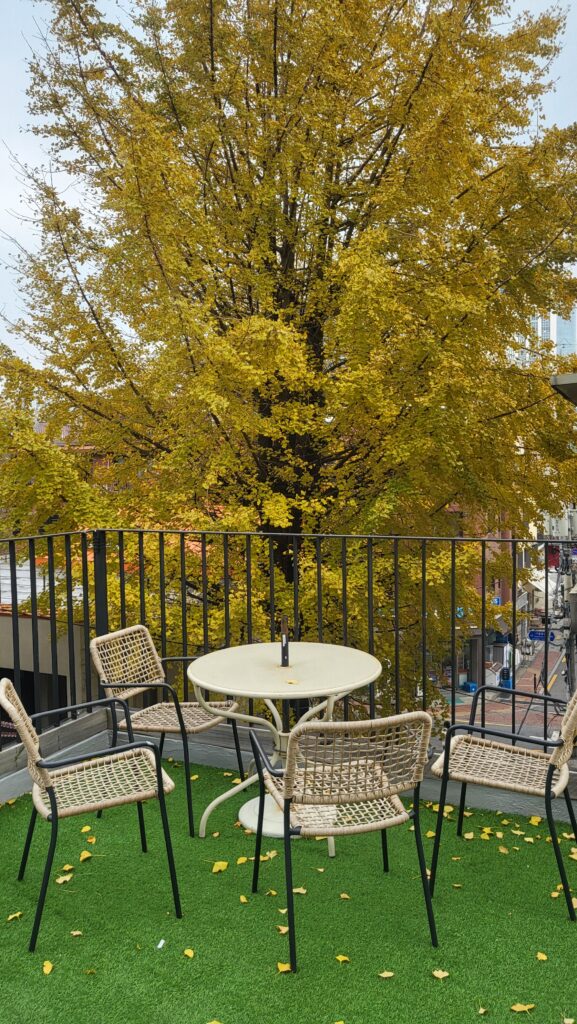 Best Seongsu Souffle Cafe 5to7 rooftop seatings with foliage view