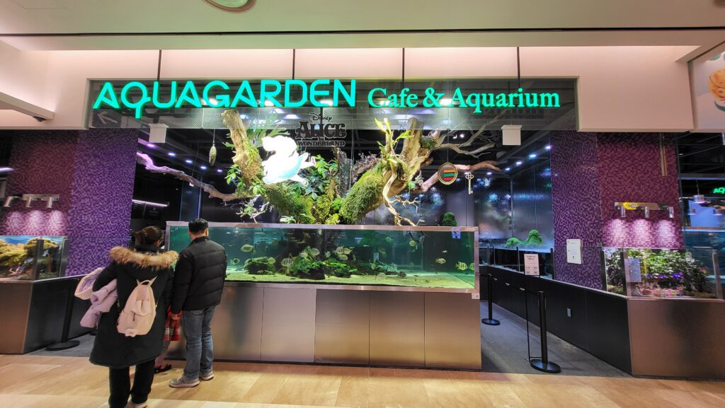 Jamsil Aquarium Cafe Aquagarden