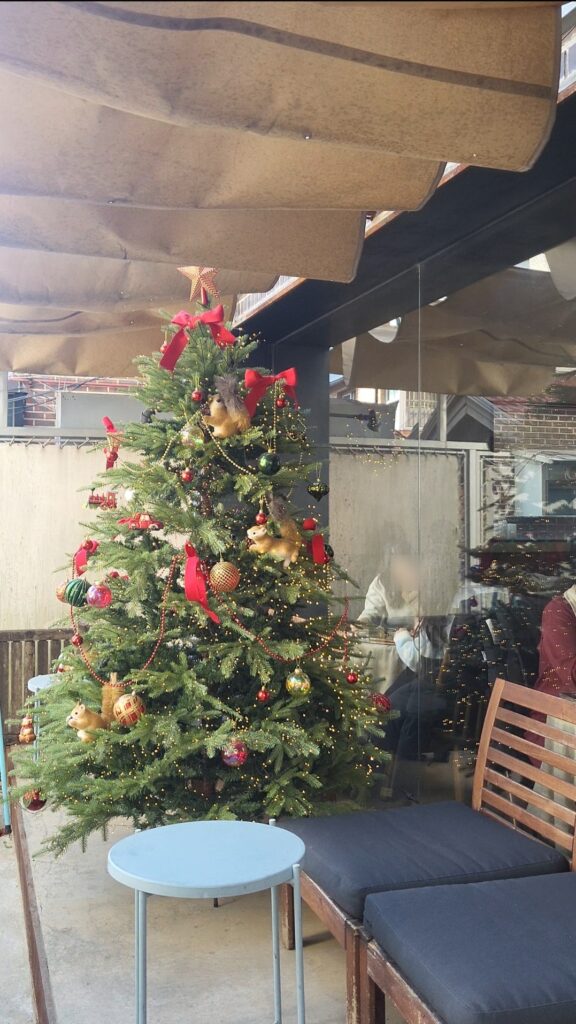 Christmas tree terrace area