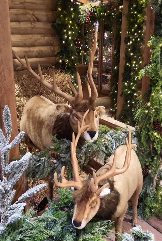 Hyundai Department Store 6F photo zone