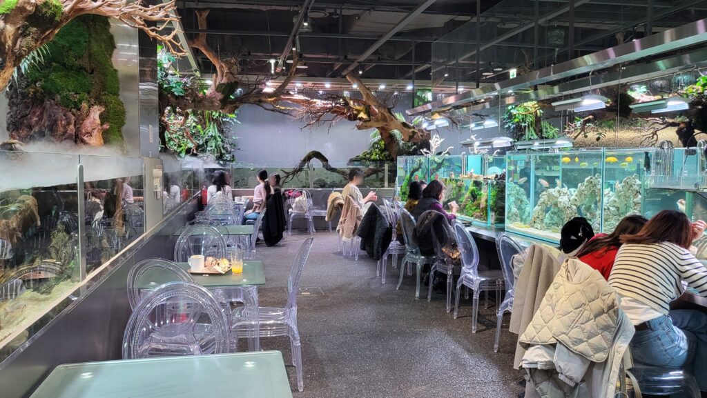 Jamsil Aquarium Cafe Aquagarden