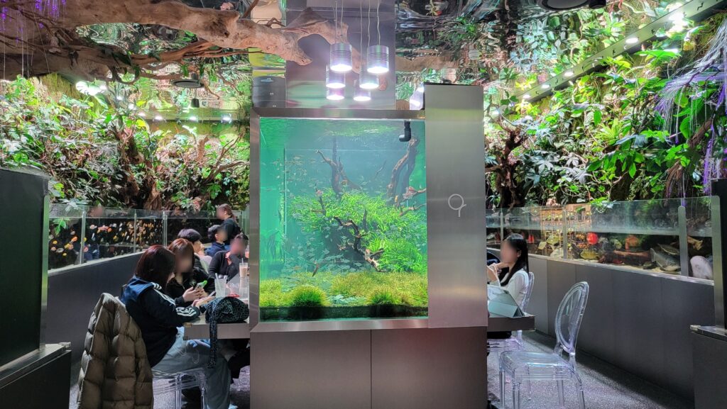Jamsil Aquarium Cafe Aquagarden