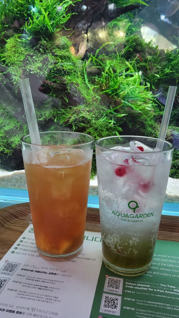 mango iced tea and green grape ade